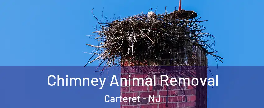  Chimney Animal Removal Carteret - NJ