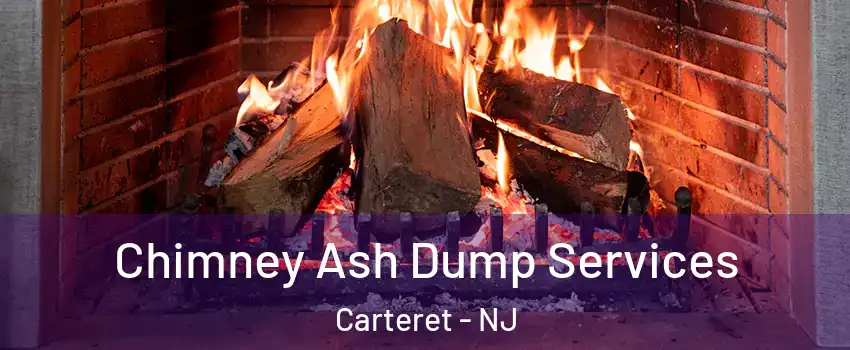  Chimney Ash Dump Services Carteret - NJ