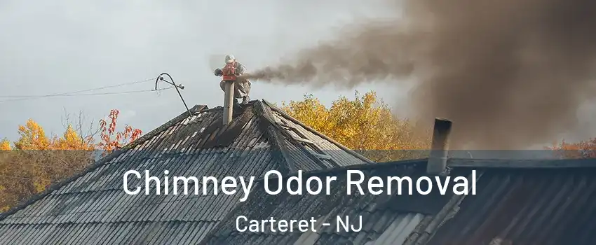  Chimney Odor Removal Carteret - NJ