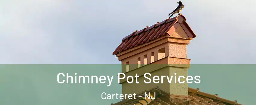  Chimney Pot Services Carteret - NJ