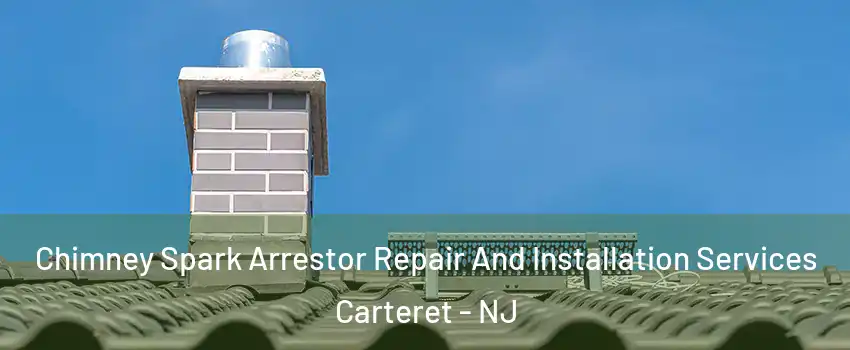  Chimney Spark Arrestor Repair And Installation Services Carteret - NJ