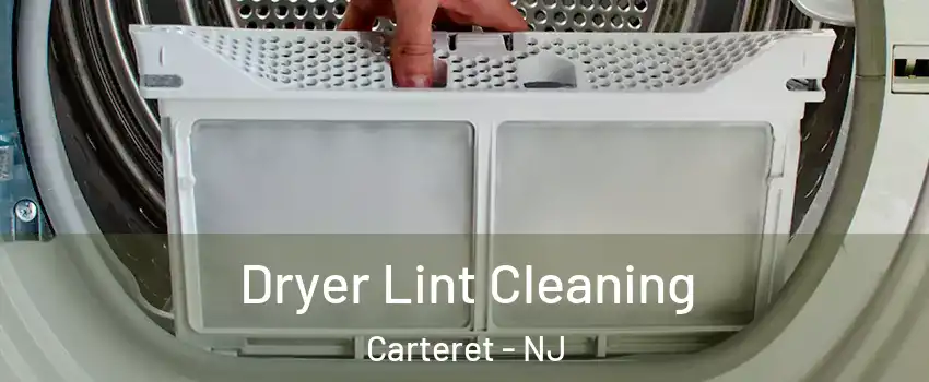  Dryer Lint Cleaning Carteret - NJ