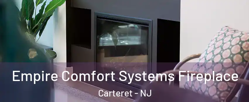  Empire Comfort Systems Fireplace Carteret - NJ