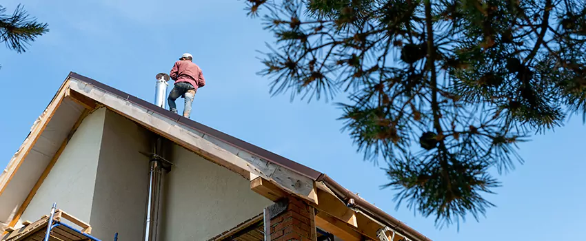 Birds Removal Contractors from Chimney in Carteret, NJ