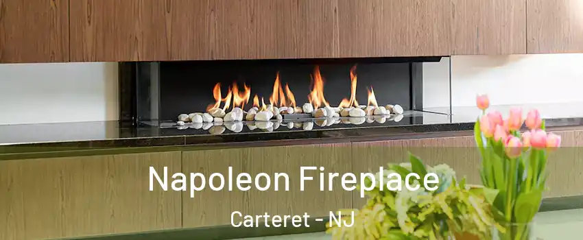  Napoleon Fireplace Carteret - NJ
