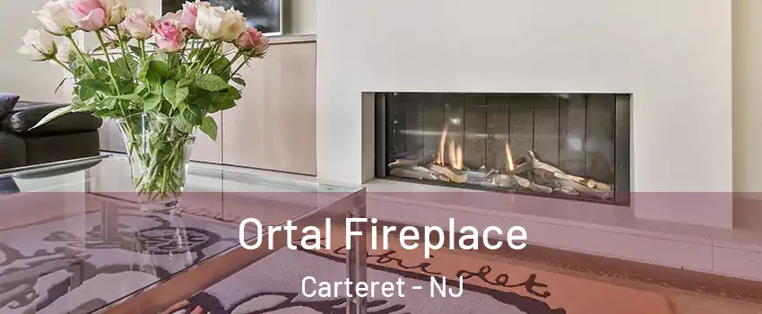  Ortal Fireplace Carteret - NJ