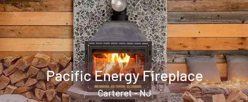  Pacific Energy Fireplace Carteret - NJ